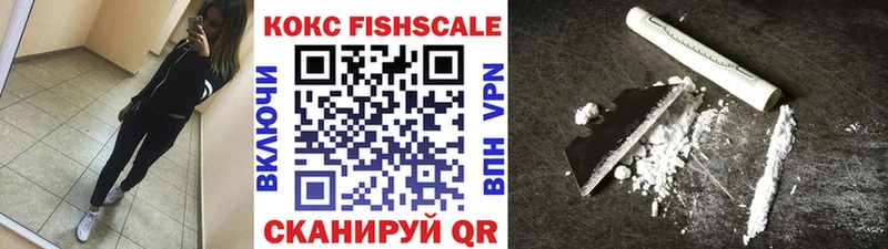 Кокаин FishScale  где купить наркоту  Николаевск-на-Амуре 