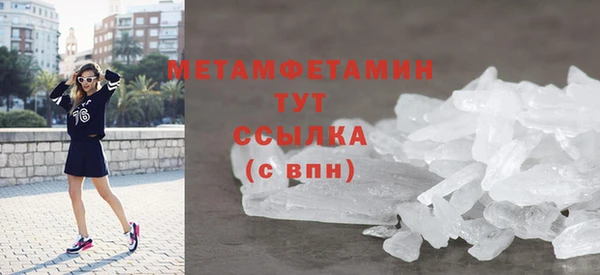 прущие грибы Медногорск