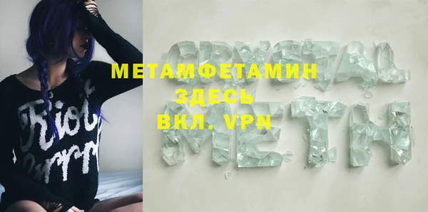 прущие грибы Медногорск