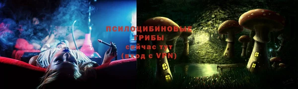 2c-b Зеленодольск