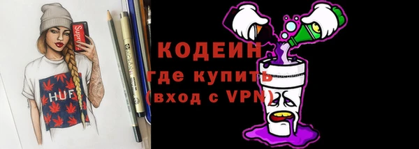 прущие грибы Медногорск