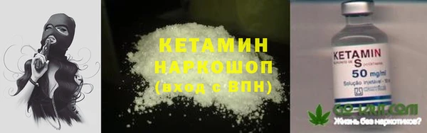 прущие грибы Медногорск