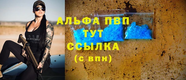 прущие грибы Медногорск
