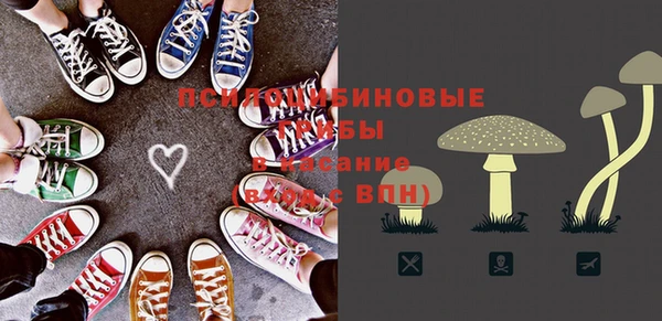 СК Мегион