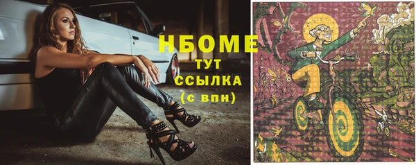 прущие грибы Медногорск