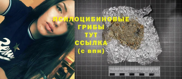 МДПВ Майский
