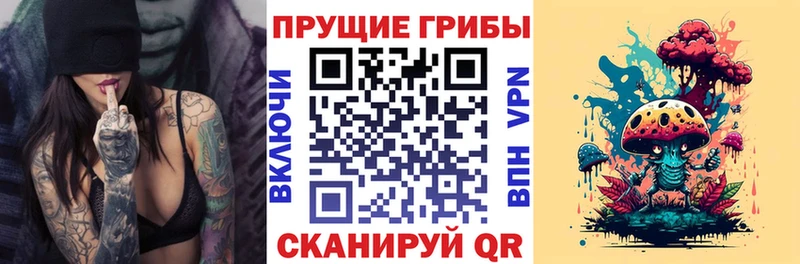 Галлюциногенные грибы GOLDEN TEACHER  нарко площадка Telegram  Николаевск-на-Амуре 